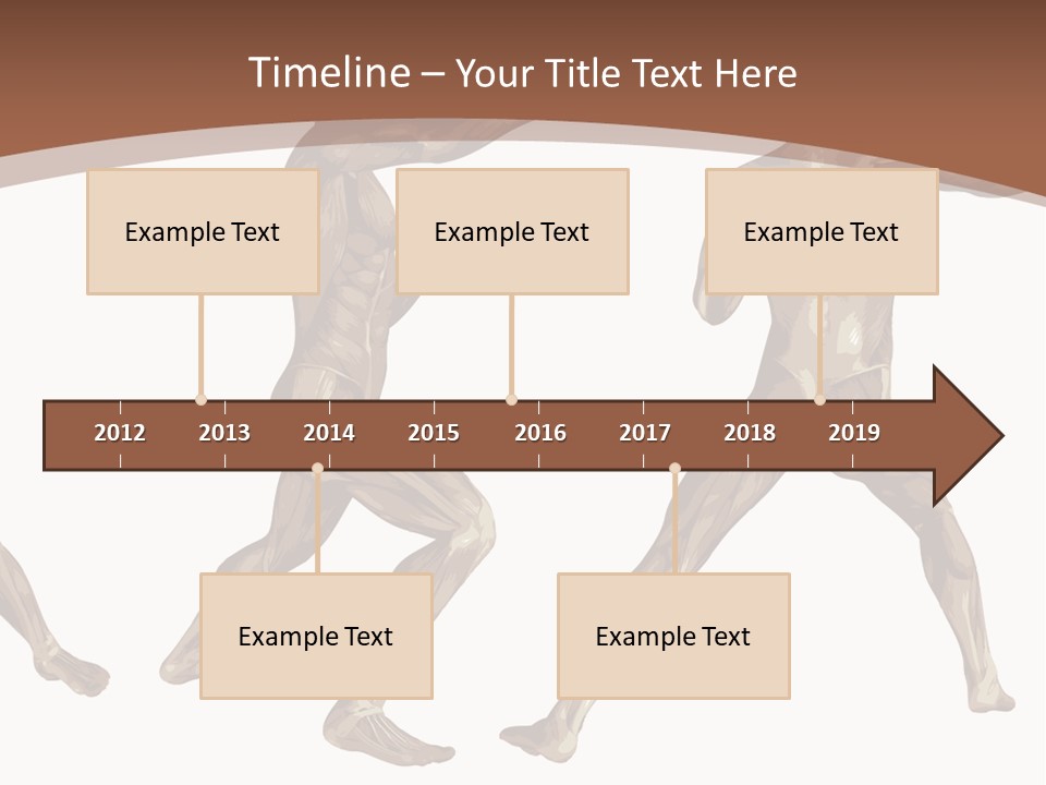 Skin Musculature Anatomical PowerPoint Template