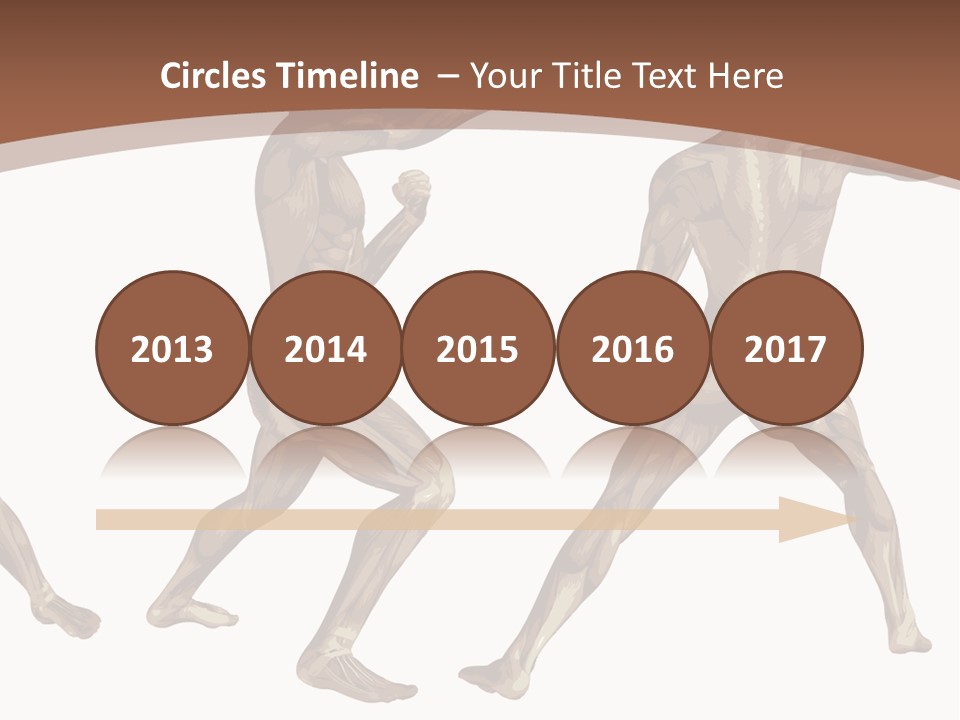 Skin Musculature Anatomical PowerPoint Template