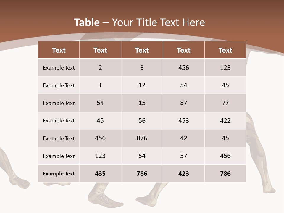 Skin Musculature Anatomical PowerPoint Template