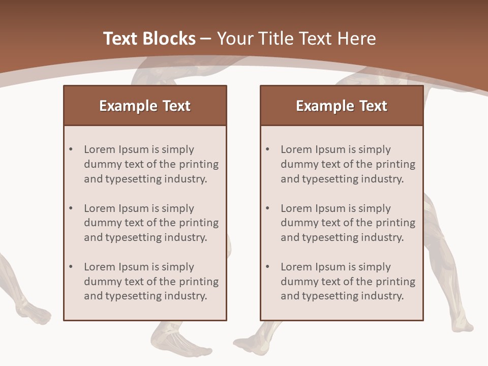 Skin Musculature Anatomical PowerPoint Template