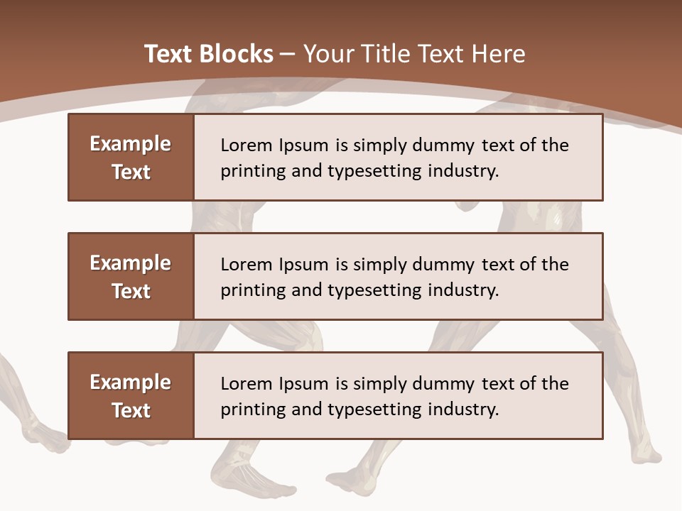 Skin Musculature Anatomical PowerPoint Template