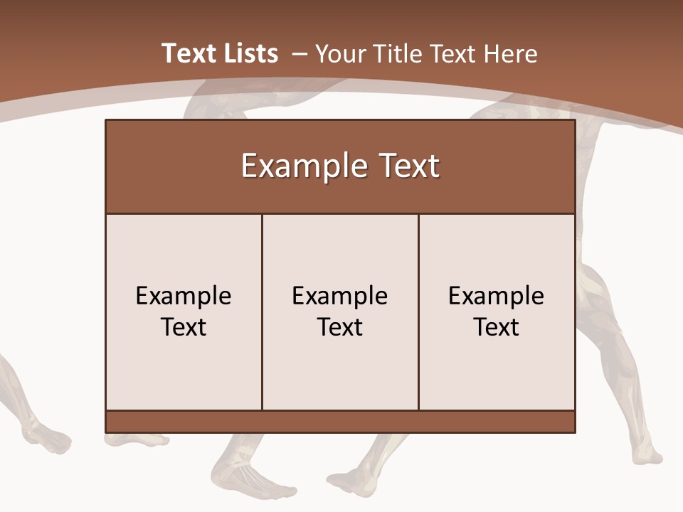 Skin Musculature Anatomical PowerPoint Template