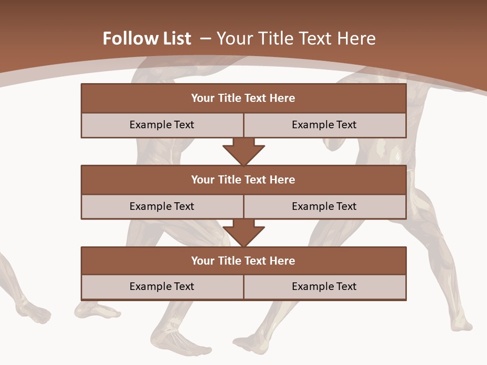 Skin Musculature Anatomical PowerPoint Template
