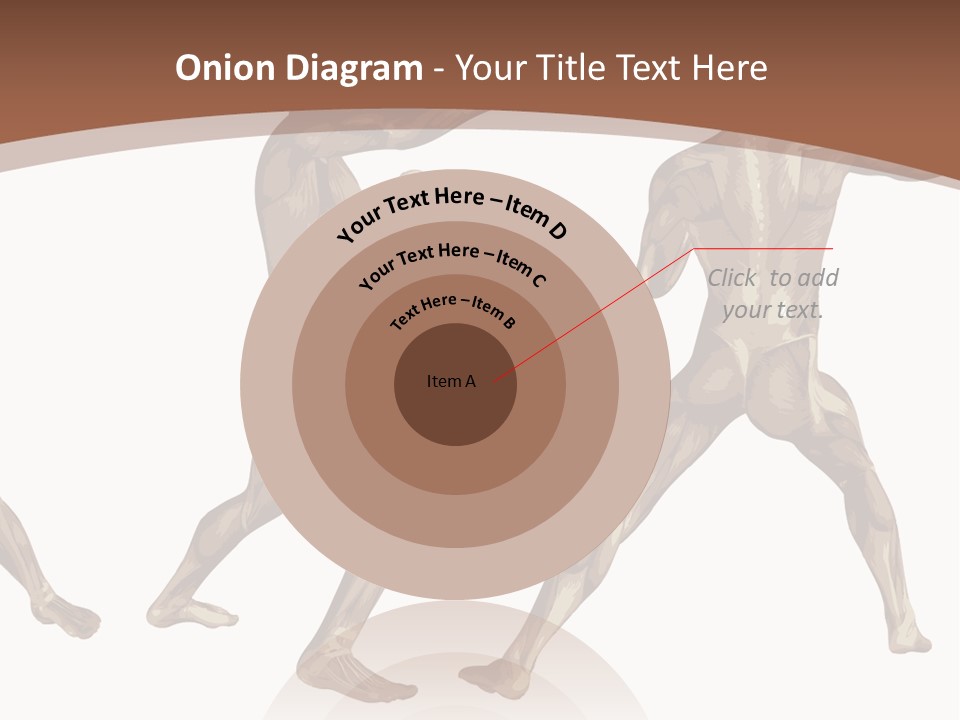 Skin Musculature Anatomical PowerPoint Template
