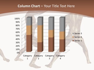 Skin Musculature Anatomical PowerPoint Template