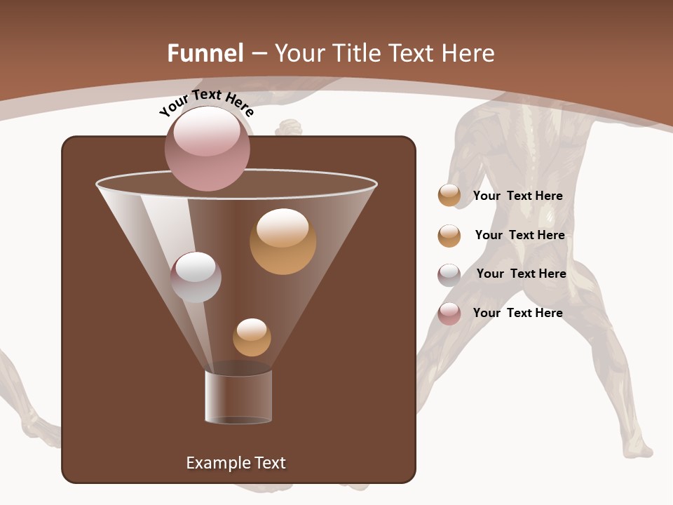 Skin Musculature Anatomical PowerPoint Template