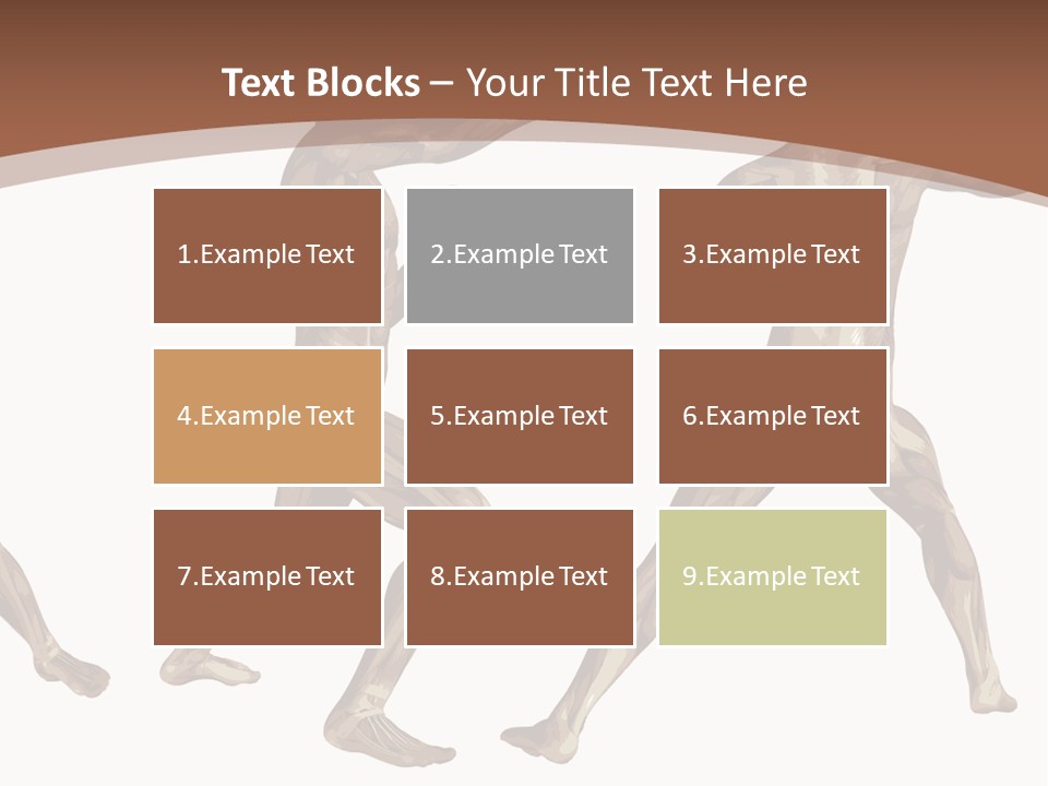 Skin Musculature Anatomical PowerPoint Template