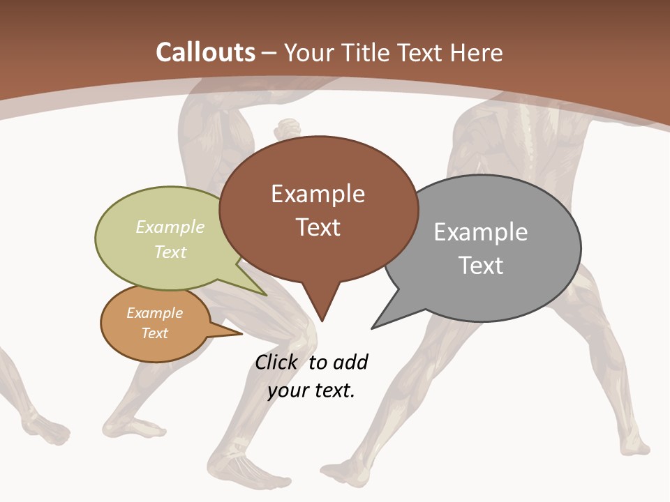 Skin Musculature Anatomical PowerPoint Template
