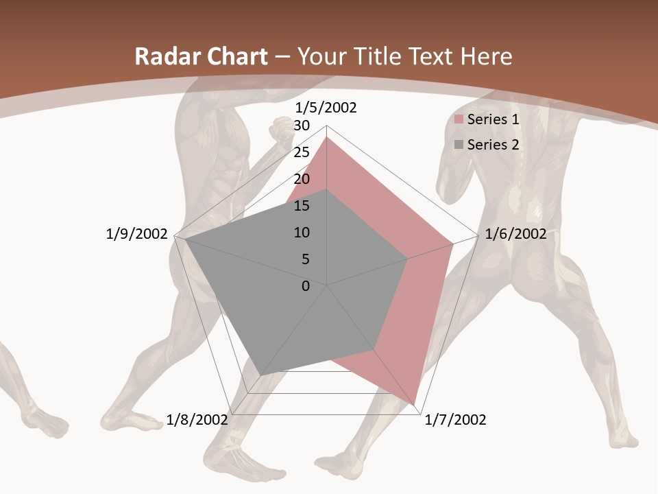 Skin Musculature Anatomical PowerPoint Template