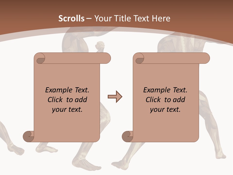 Skin Musculature Anatomical PowerPoint Template