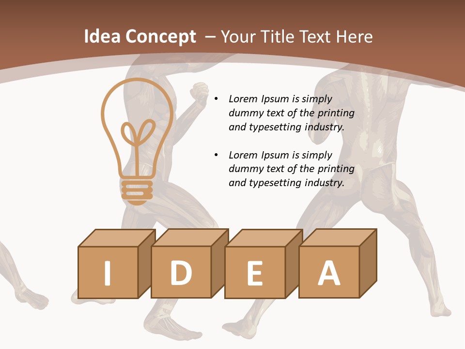 Skin Musculature Anatomical PowerPoint Template