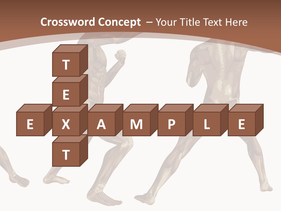 Skin Musculature Anatomical PowerPoint Template