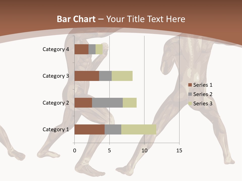 Skin Musculature Anatomical PowerPoint Template