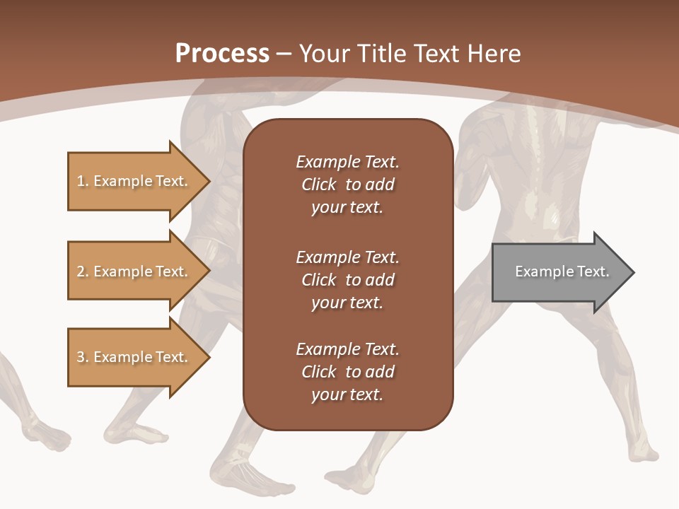 Skin Musculature Anatomical PowerPoint Template