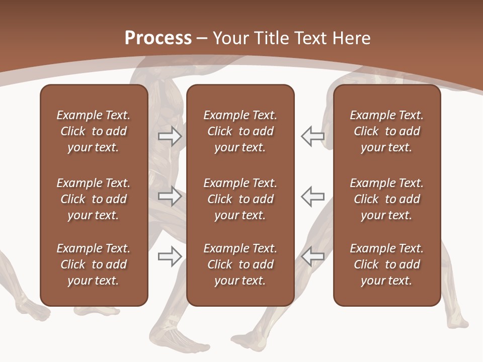 Skin Musculature Anatomical PowerPoint Template