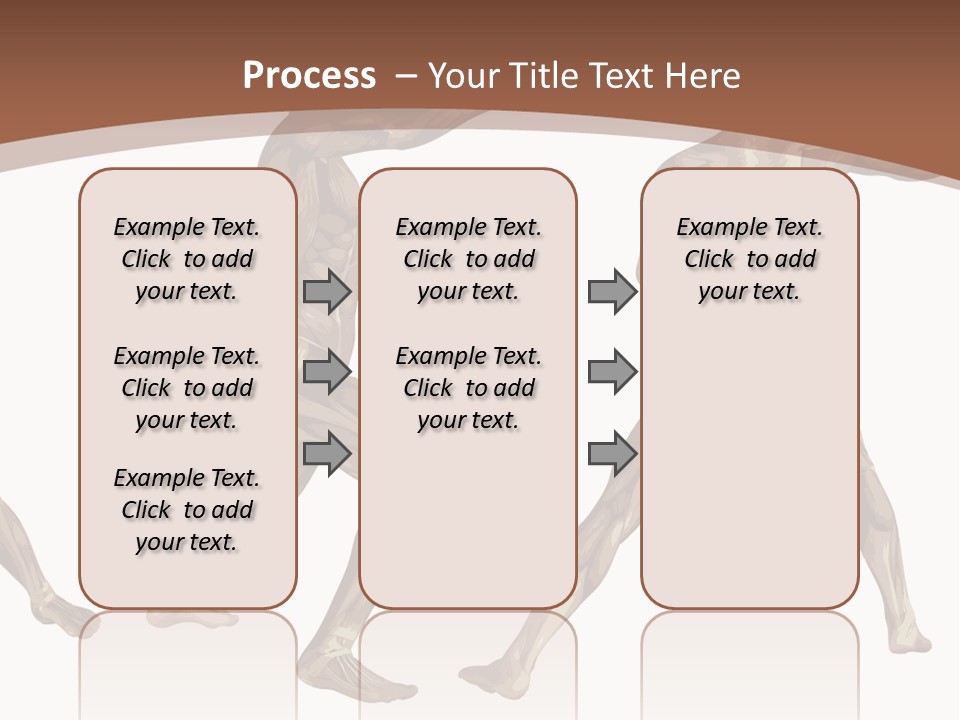 Skin Musculature Anatomical PowerPoint Template
