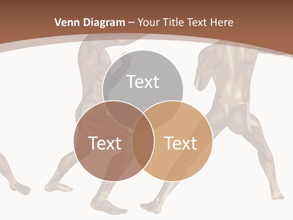 Skin Musculature Anatomical PowerPoint Template