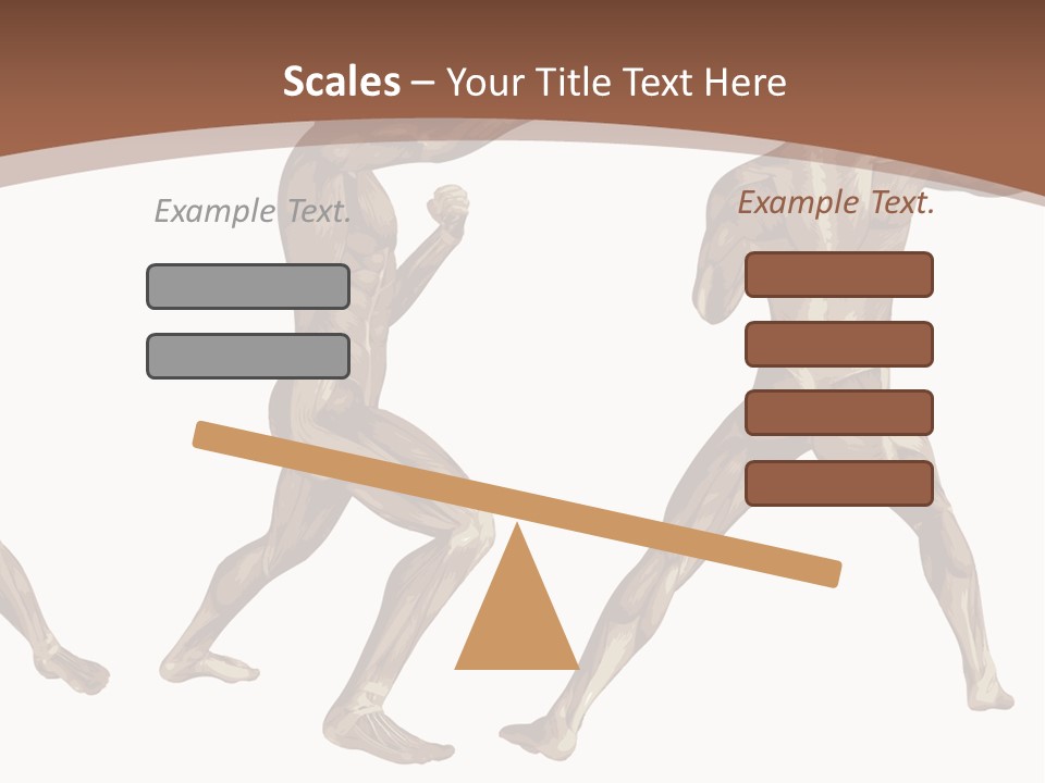 Skin Musculature Anatomical PowerPoint Template