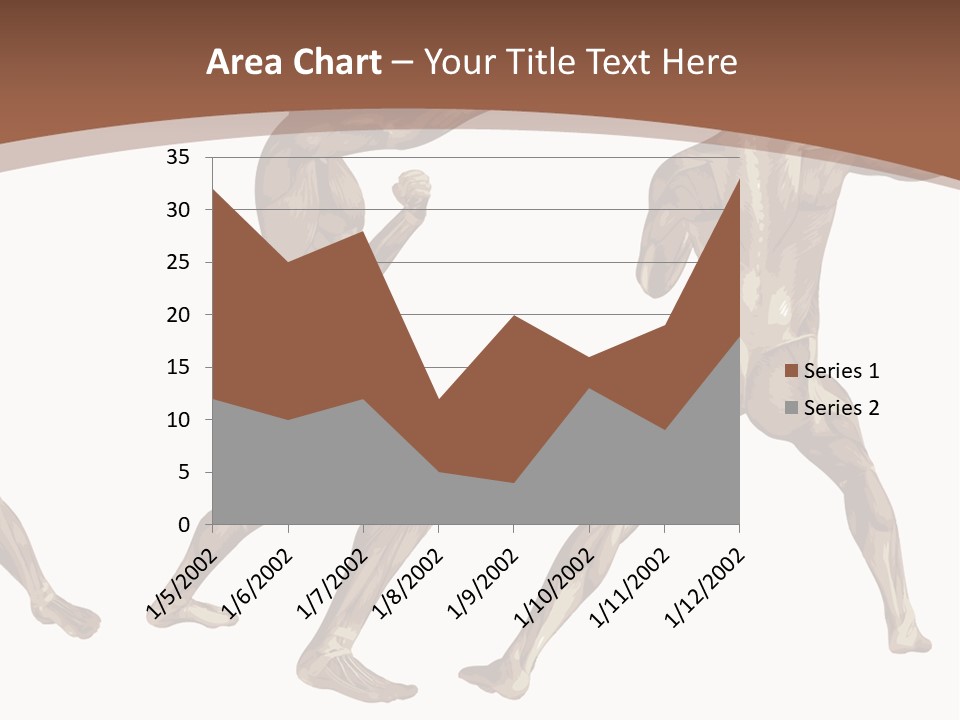 Skin Musculature Anatomical PowerPoint Template