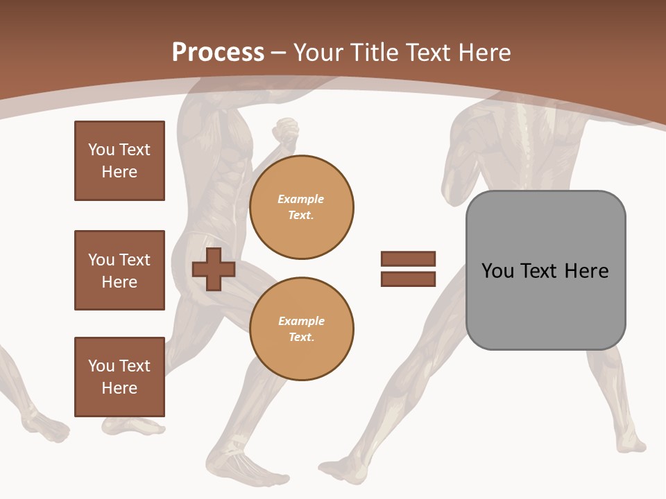Skin Musculature Anatomical PowerPoint Template