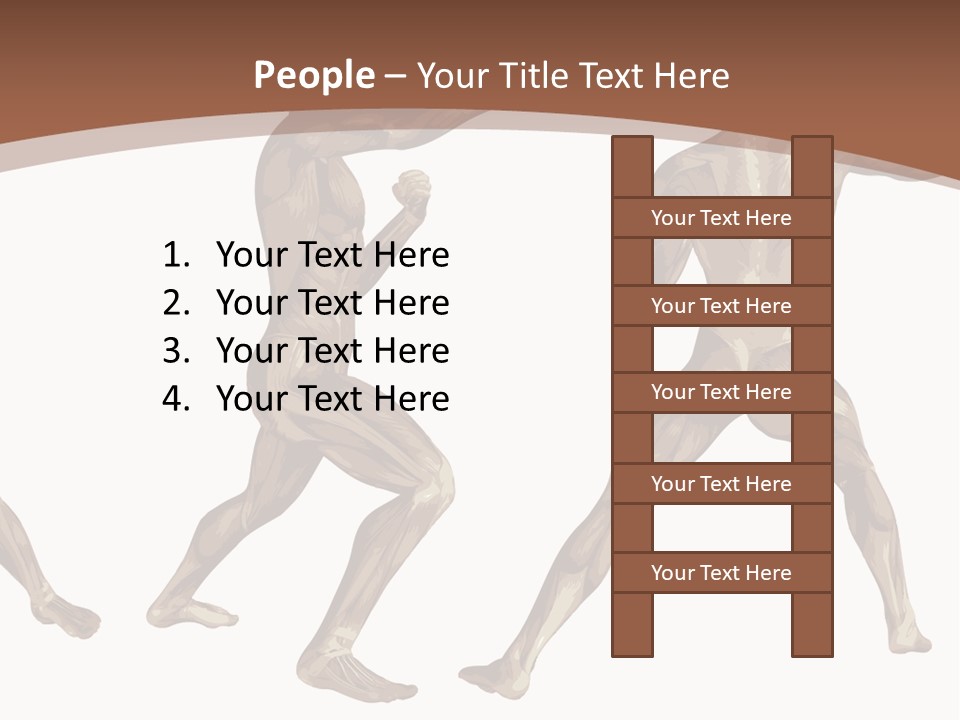 Skin Musculature Anatomical PowerPoint Template