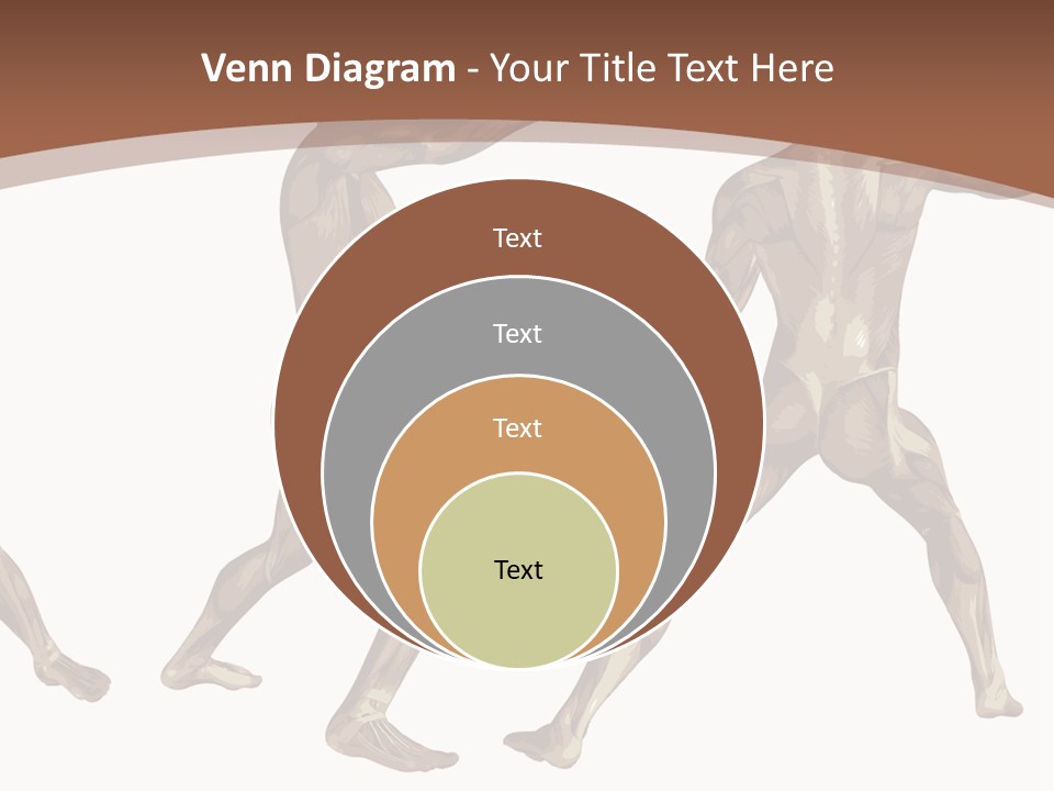 Skin Musculature Anatomical PowerPoint Template