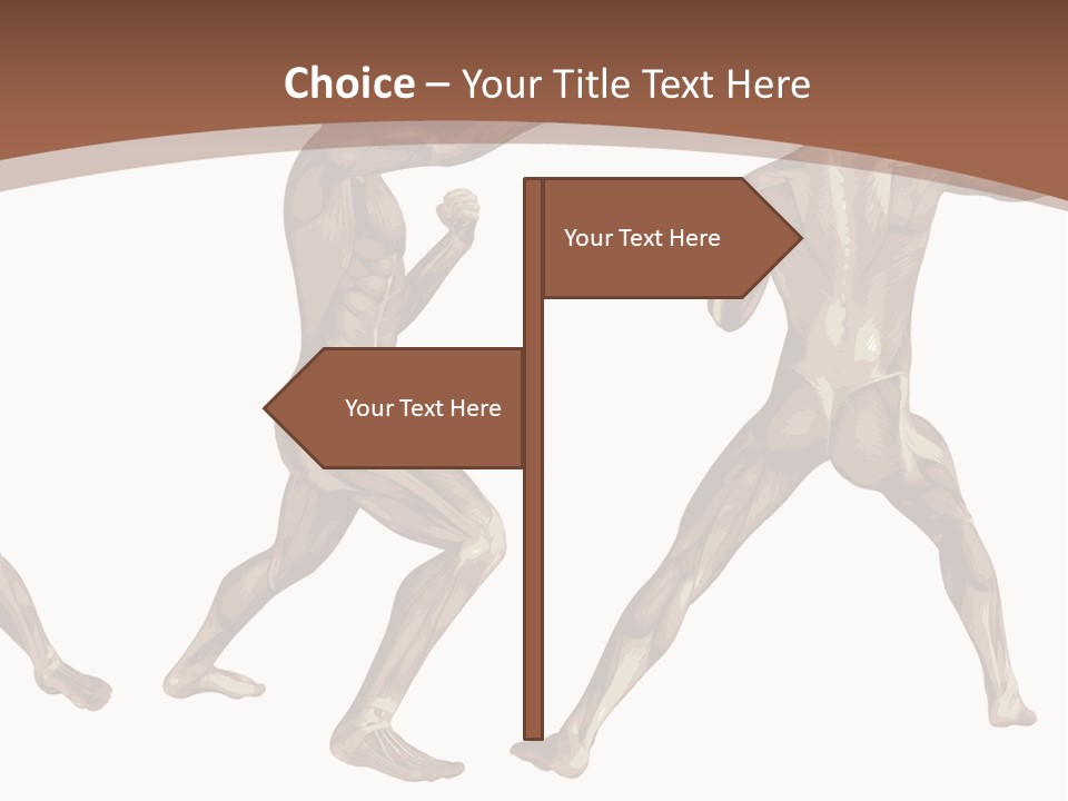 Skin Musculature Anatomical PowerPoint Template
