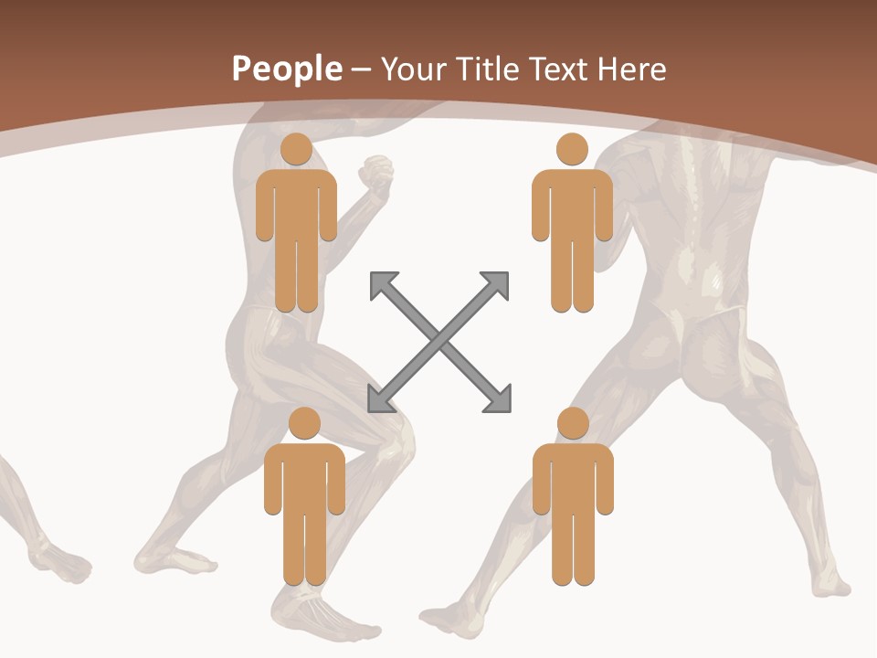 Skin Musculature Anatomical PowerPoint Template