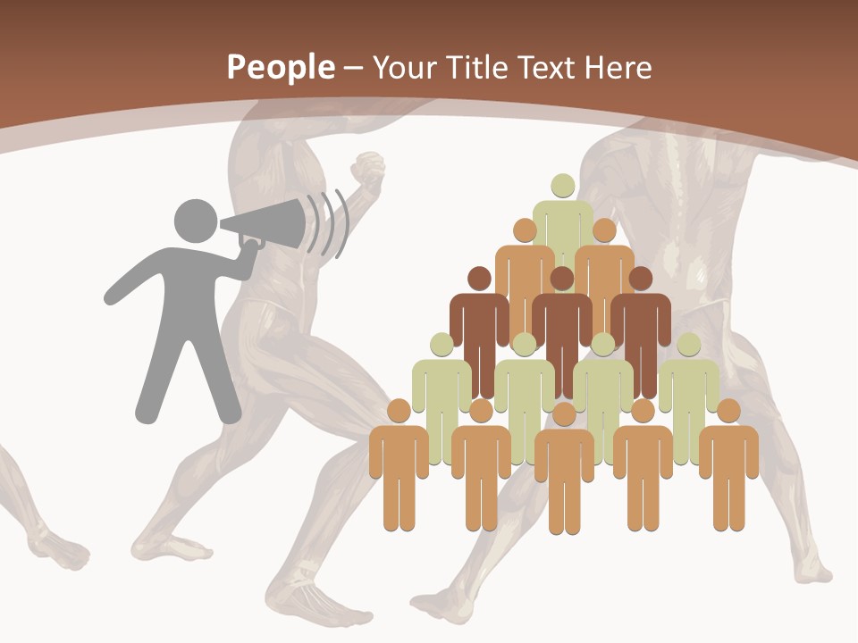 Skin Musculature Anatomical PowerPoint Template