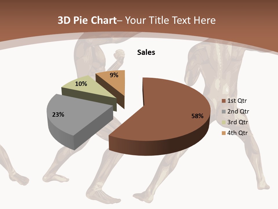 Skin Musculature Anatomical PowerPoint Template