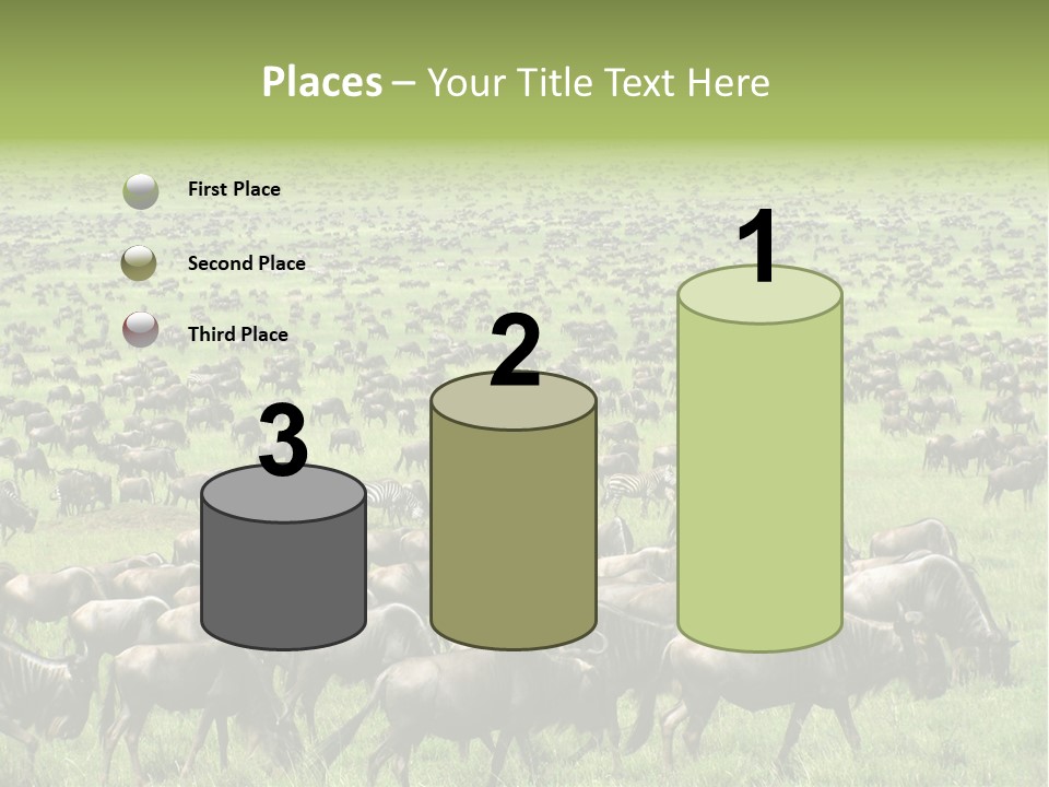 Plain Animal Tanzania PowerPoint Template