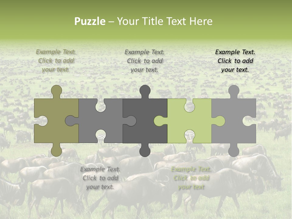 Plain Animal Tanzania PowerPoint Template