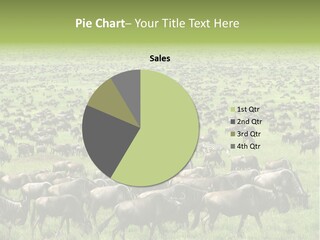 Plain Animal Tanzania PowerPoint Template