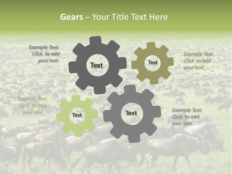 Plain Animal Tanzania PowerPoint Template