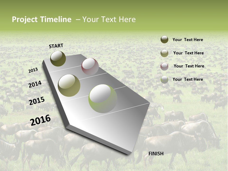 Plain Animal Tanzania PowerPoint Template