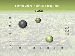 Plain Animal Tanzania PowerPoint Template