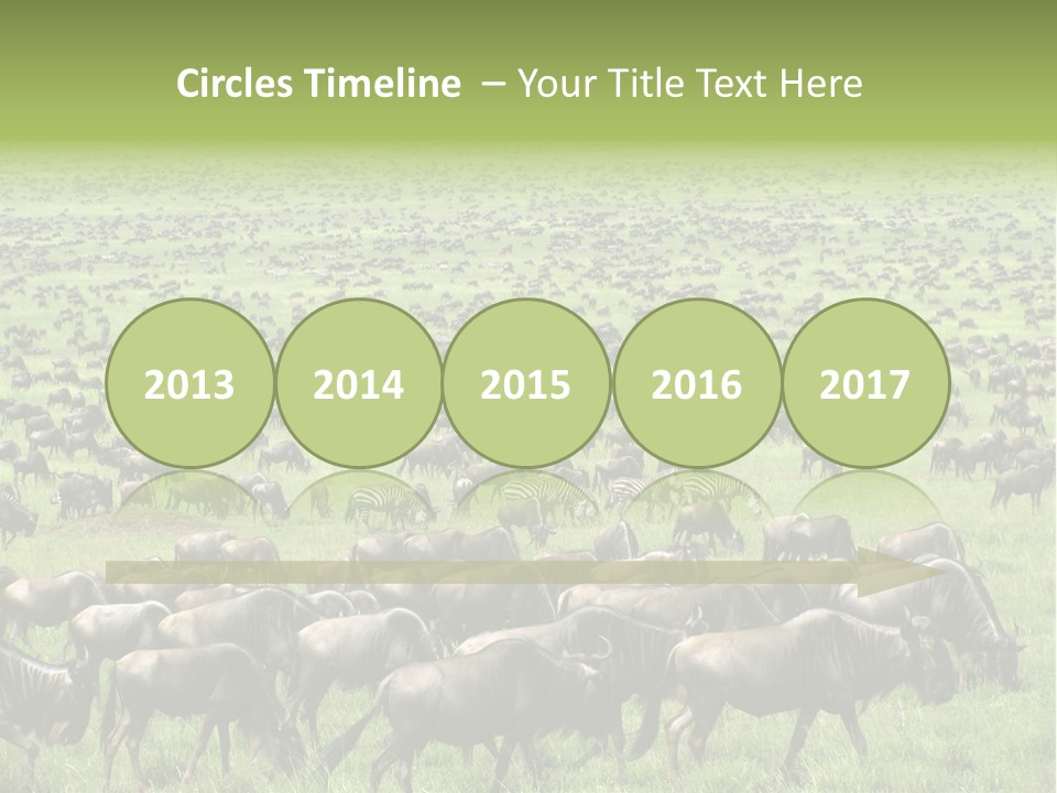 Plain Animal Tanzania PowerPoint Template