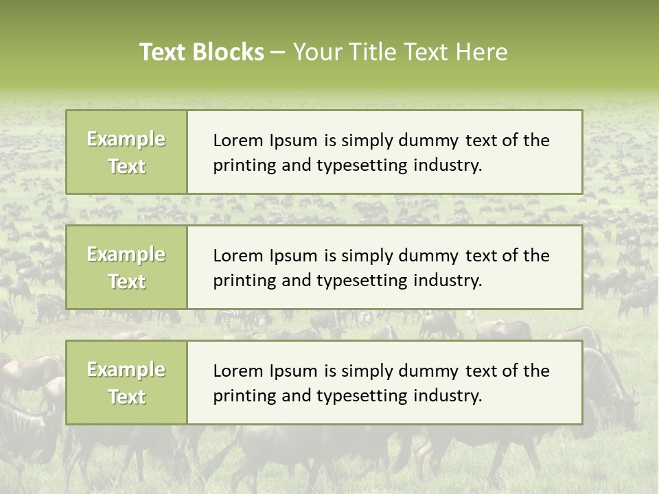Plain Animal Tanzania PowerPoint Template
