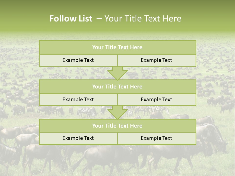 Plain Animal Tanzania PowerPoint Template