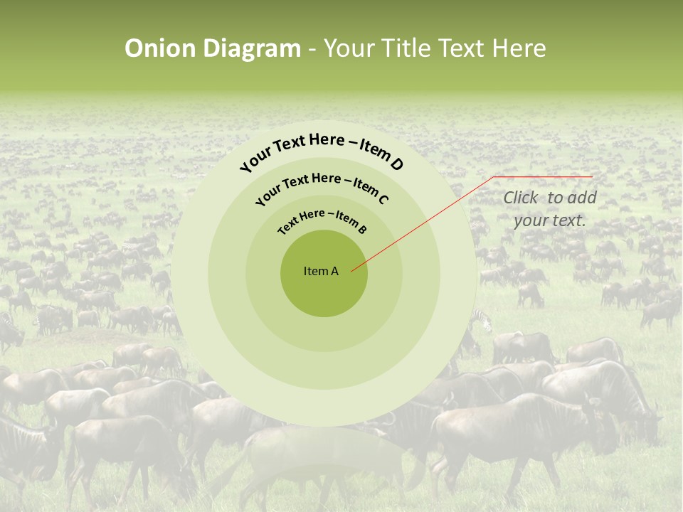 Plain Animal Tanzania PowerPoint Template