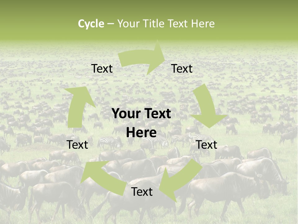 Plain Animal Tanzania PowerPoint Template