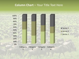 Plain Animal Tanzania PowerPoint Template