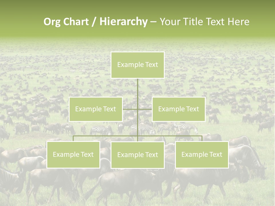 Plain Animal Tanzania PowerPoint Template