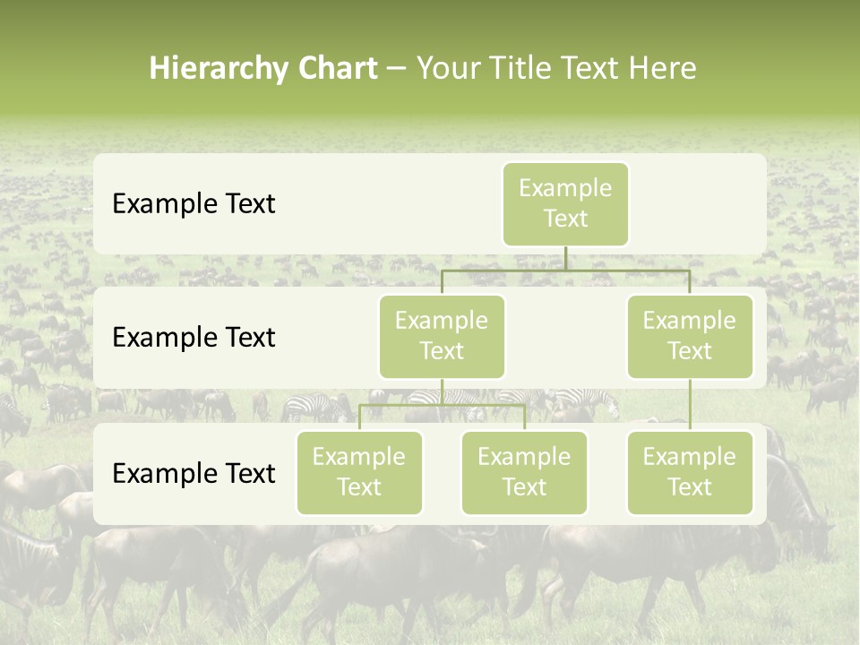 Plain Animal Tanzania PowerPoint Template