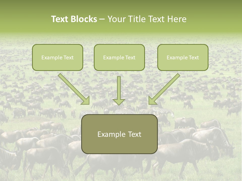 Plain Animal Tanzania PowerPoint Template