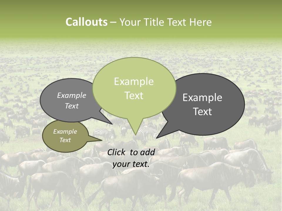 Plain Animal Tanzania PowerPoint Template