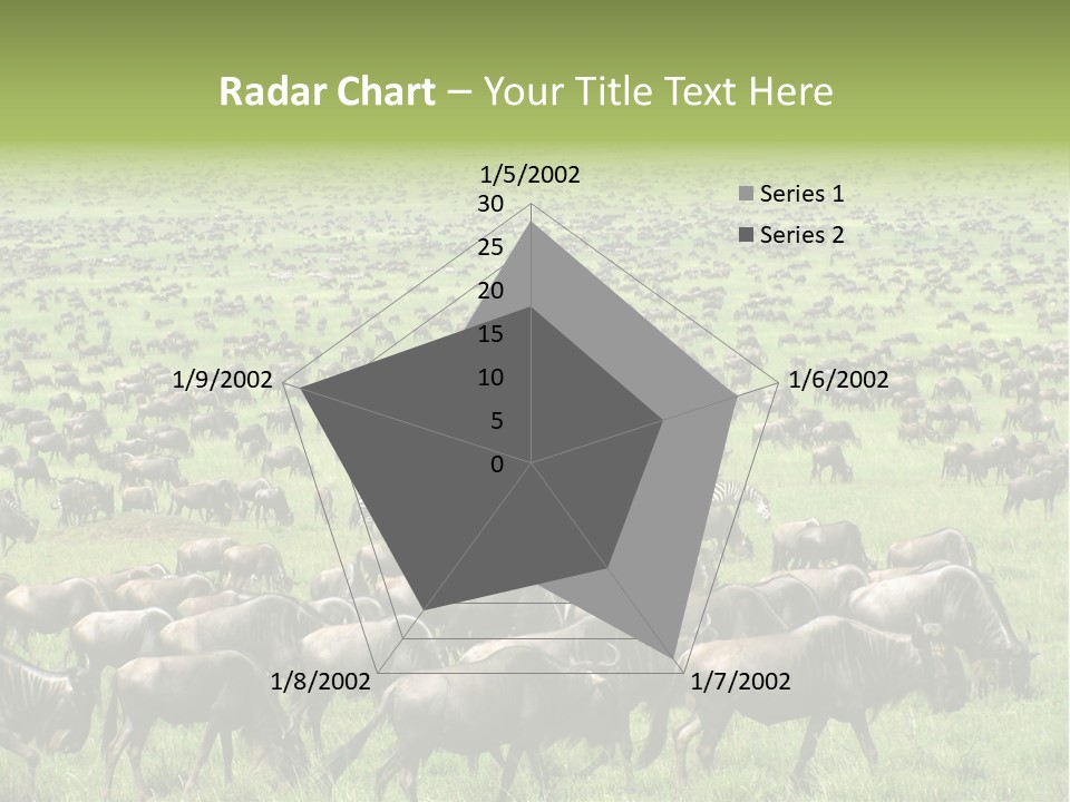 Plain Animal Tanzania PowerPoint Template