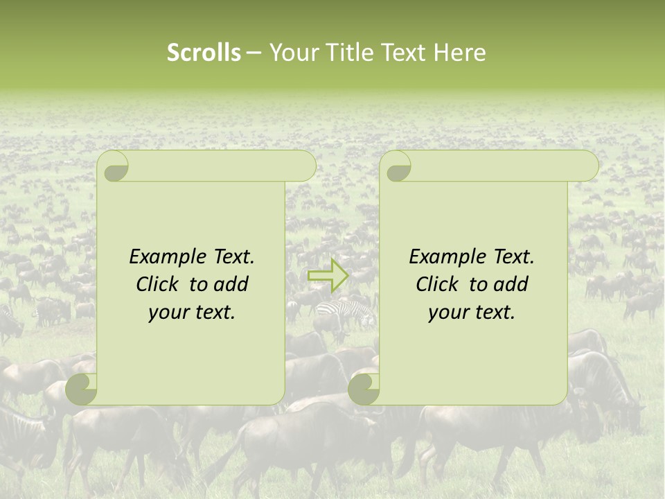 Plain Animal Tanzania PowerPoint Template