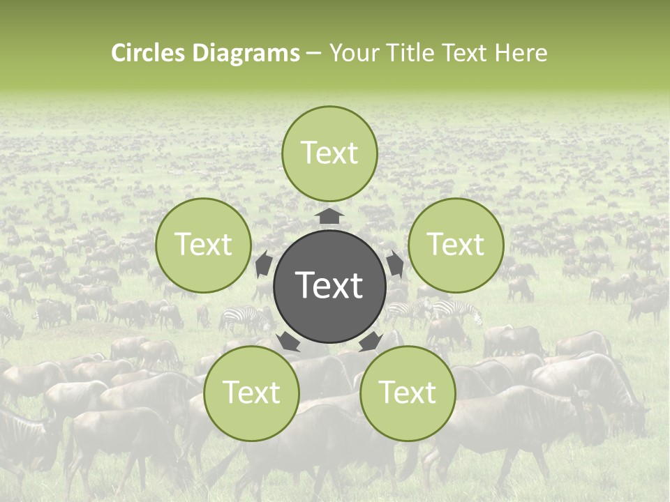 Plain Animal Tanzania PowerPoint Template