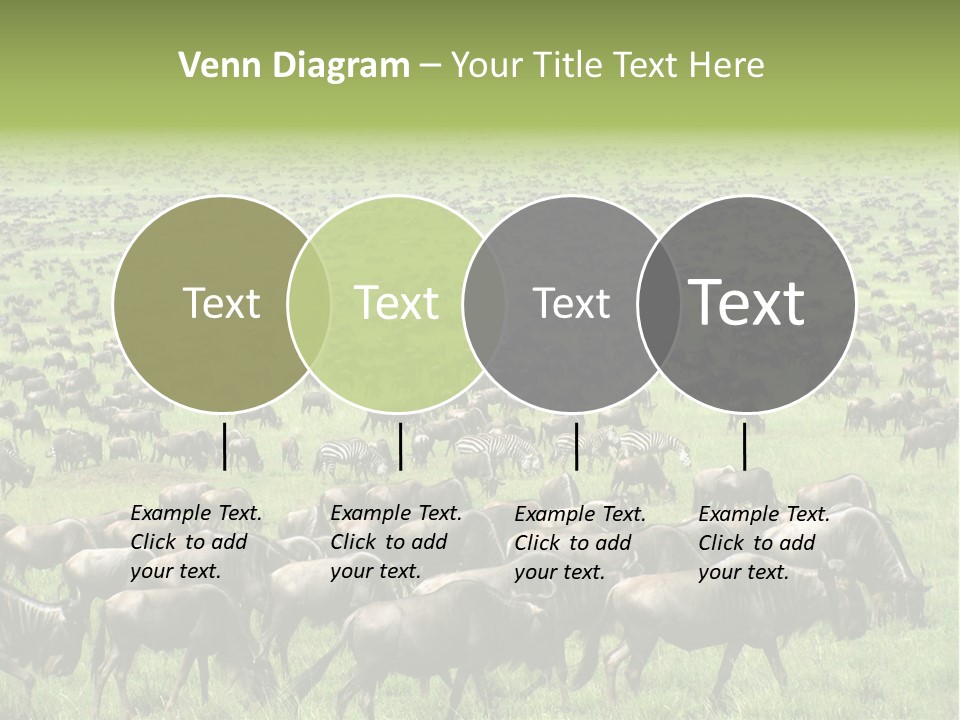 Plain Animal Tanzania PowerPoint Template